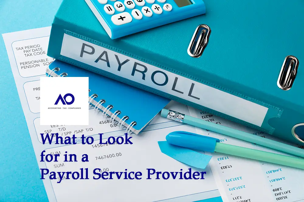 Payroll Service Provider